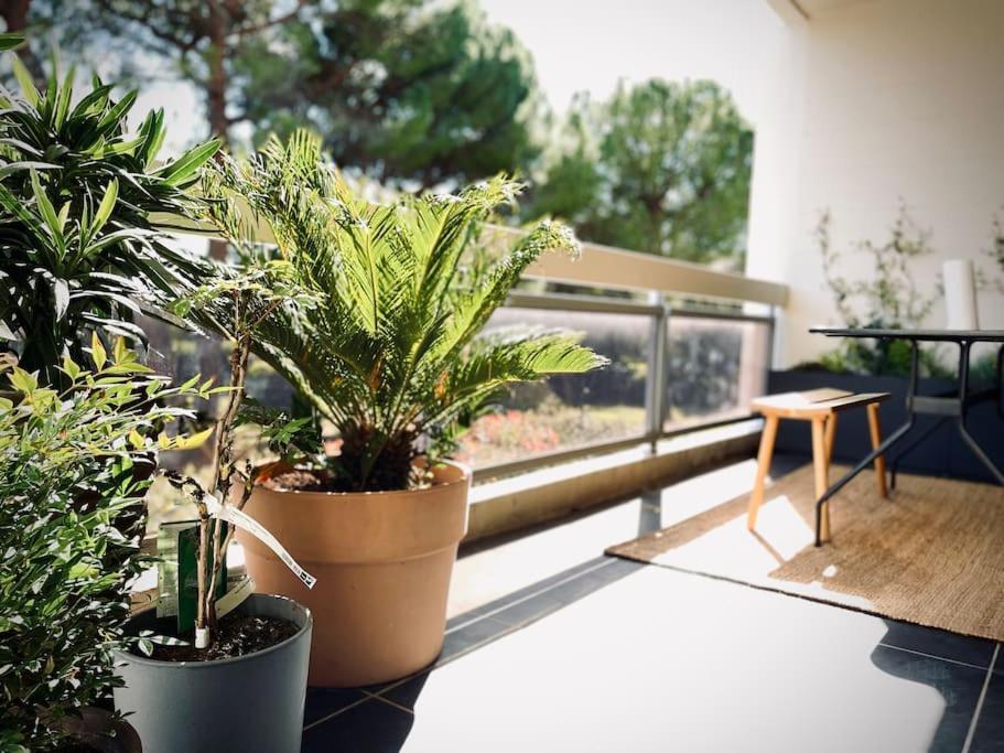Design 110M2 2Br Terrace & Parking Near Center Apartment Aix-en-Provence Exterior foto